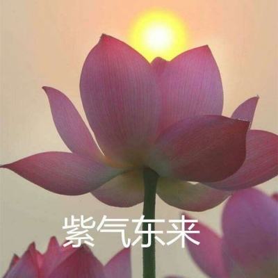 魔界2内购破解版(暂未上线)v1.7.0 安卓无限元宝版